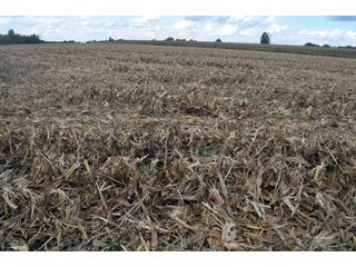 Property photo 72 - EHLE FARMS AUCTION - 118+/- ACRES IN 9 TRACTS IN ALLEN COUNTY, INDIANA